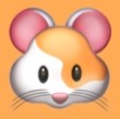 色哟哟官方版APP应用