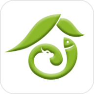 抖音9.1APP应用