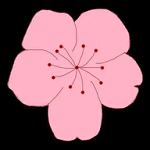 WWW,798se·COM网站APPAPP应用